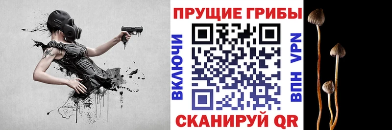 Галлюциногенные грибы мухоморы  Рославль 